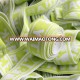 good quality polyester knitted jacquard elastic webbing tapes for garment